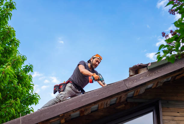 Best Roof Ventilation Installation  in Ozk, AR