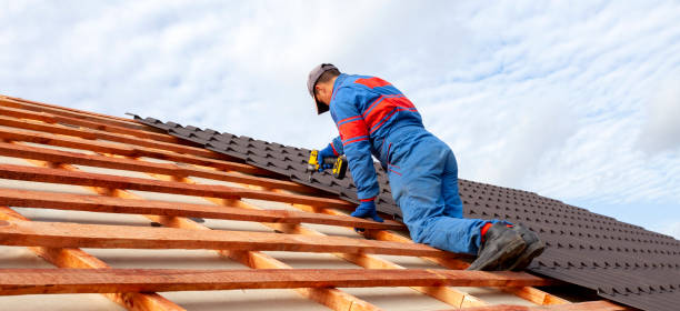 Best Gutter Installation and Repair  in Ozk, AR
